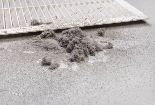 Best Air Duct Cleaning Near Me  in Canal Fulton, OH