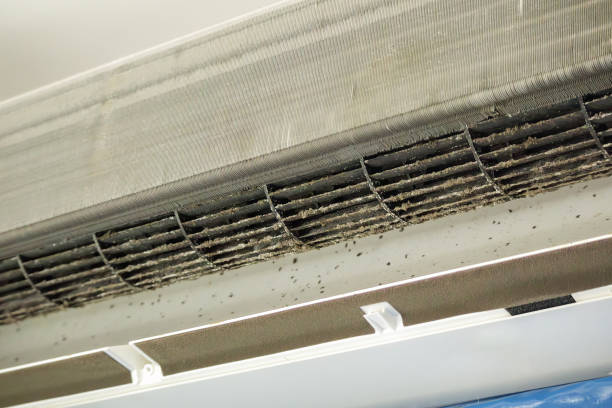 Best HVAC System Cleaning  in Canal Fulton, OH